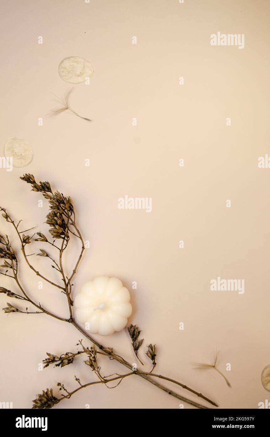 Brauner, vertikaler Hintergrund mit trockenen braunen Zweigen und weißer Kürbiskerze. Vorlage für leere Seiten im minimalen Flachbild-Format für den Herbst Stockfoto