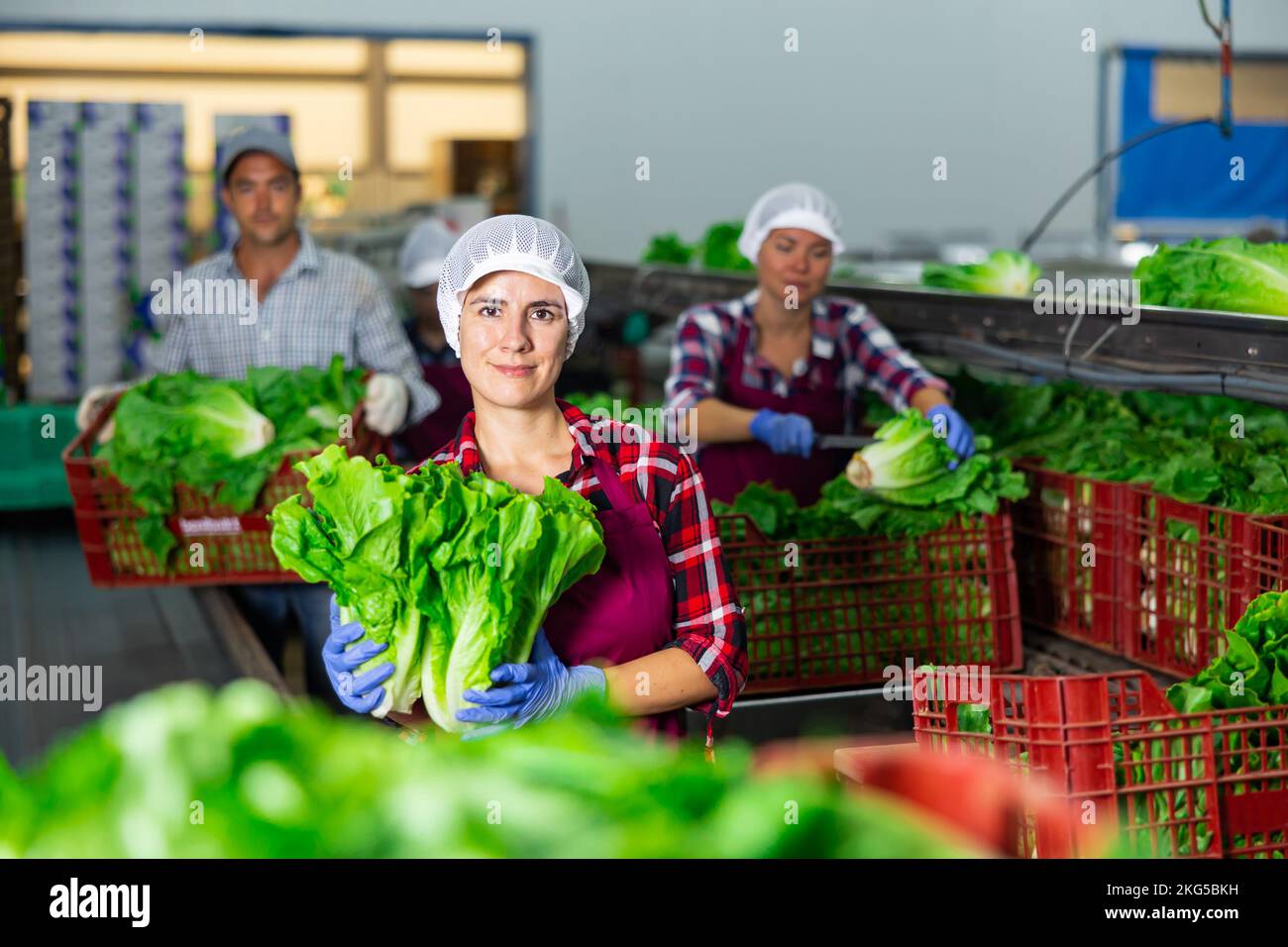 Porträt einer positiven Frau in der Gemüsefabrik mit Salat Stockfoto