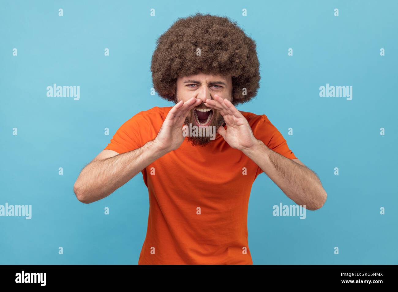 Porträt eines wütenden, aggressiven Mannes mit Afro-Haarschnitt, der ein orangefarbenes T-Shirt trägt, steht, die Arme nahe dem offenen Mund hält und schreit. Innenstudio, isoliert auf blauem Hintergrund. Stockfoto