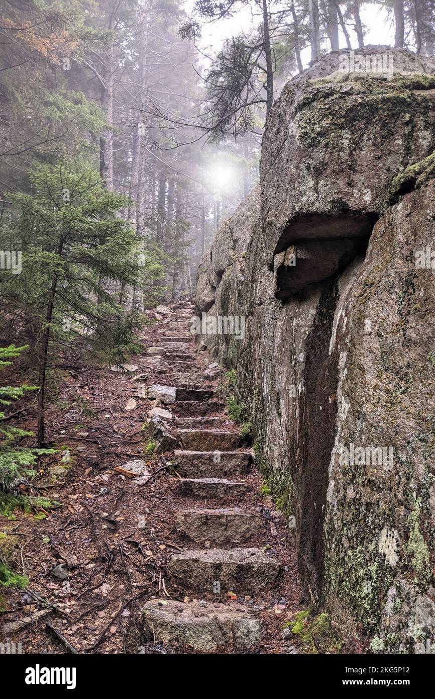 Steile Treppen, die in das Grundgestein geschnitten wurden, steigen auf einem Bergwanderweg in den Nebel Stockfoto