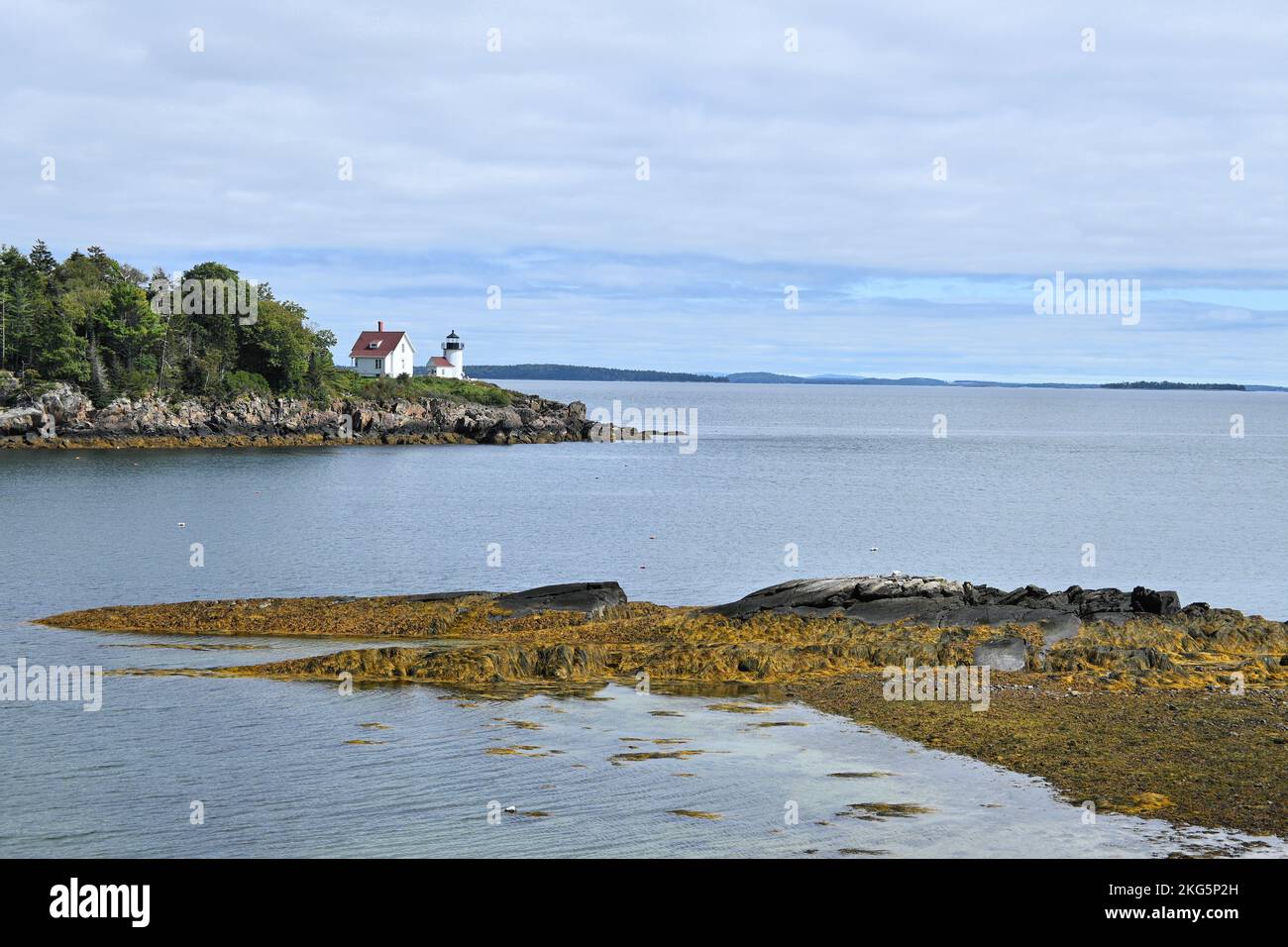 Ein weißer Leuchtturm und ein Pförtnerhaus liegen auf einer Landzunge, die ins Meer ragt; goldene Algen bedecken Felsen im Vordergrund Stockfoto