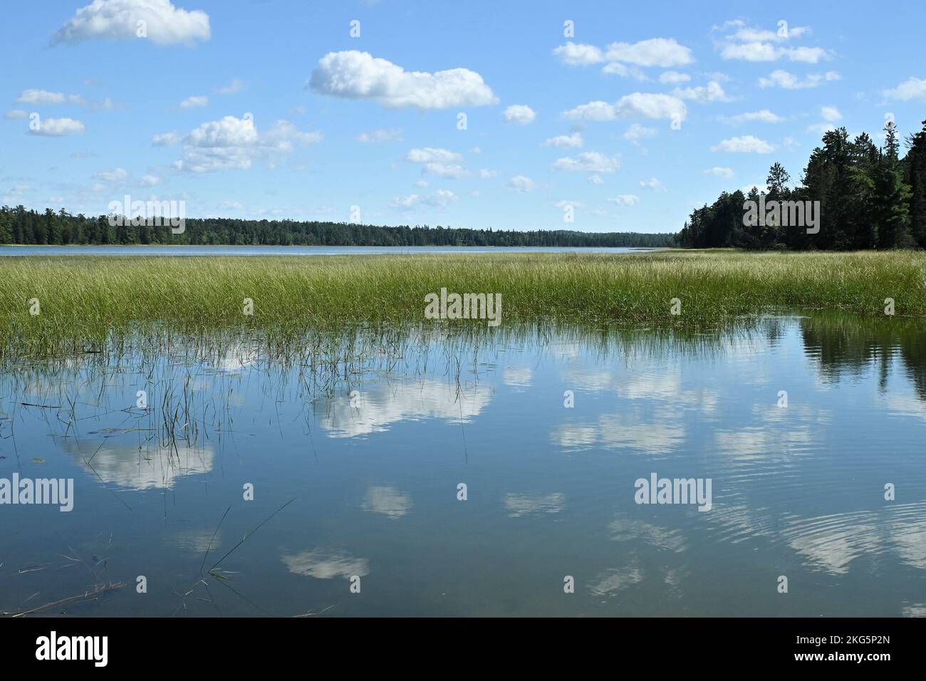 Das ruhige Wasser des Itasca-Sees reflektiert an einem hellen Sommertag den blauen Himmel und weiße Wolken Stockfoto