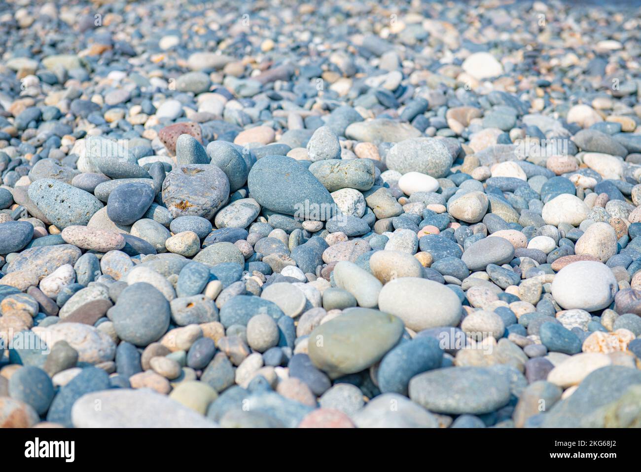 Die Textur von Kieselsteinen auf dem schwarzen Meer Stockfoto