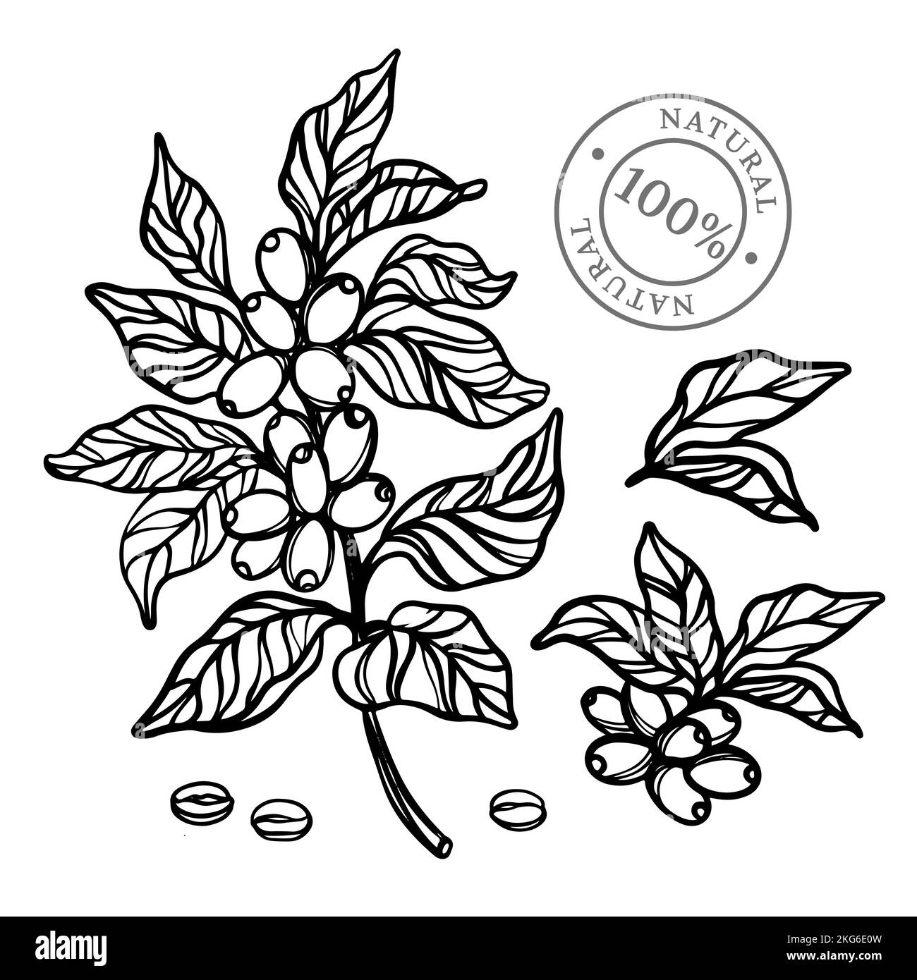 KAFFEE UMRISS Monochrom Design von Aufklebern und Etiketten mit für Shop of Dessert Drinks handgezeichnete Skizze mit Stempel Clip Art Vektor Illustration Set Stock Vektor