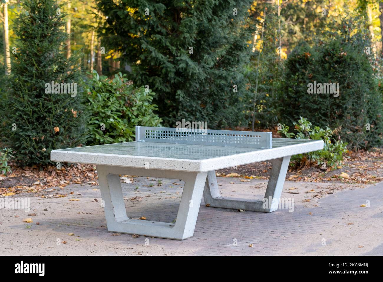 Tischtennisplatte aus Beton im Freien in einem Park, umgeben von üppigen grünen Bäumen und Sträuchern, ideal für Freizeitaktivitäten und Sportbegeisterte Stockfoto