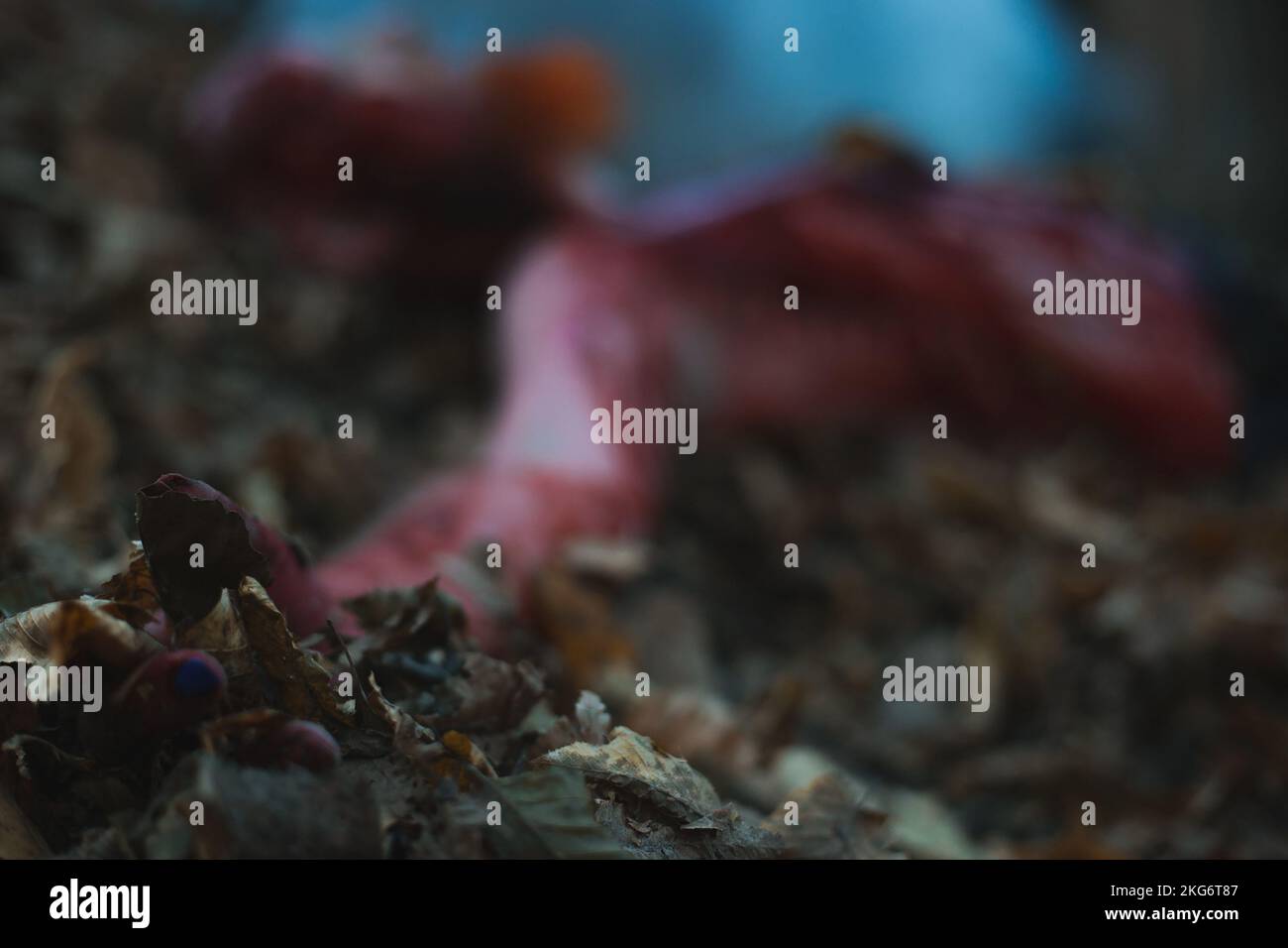 Bloody hand -Fotos und -Bildmaterial in hoher Auflösung – Alamy
