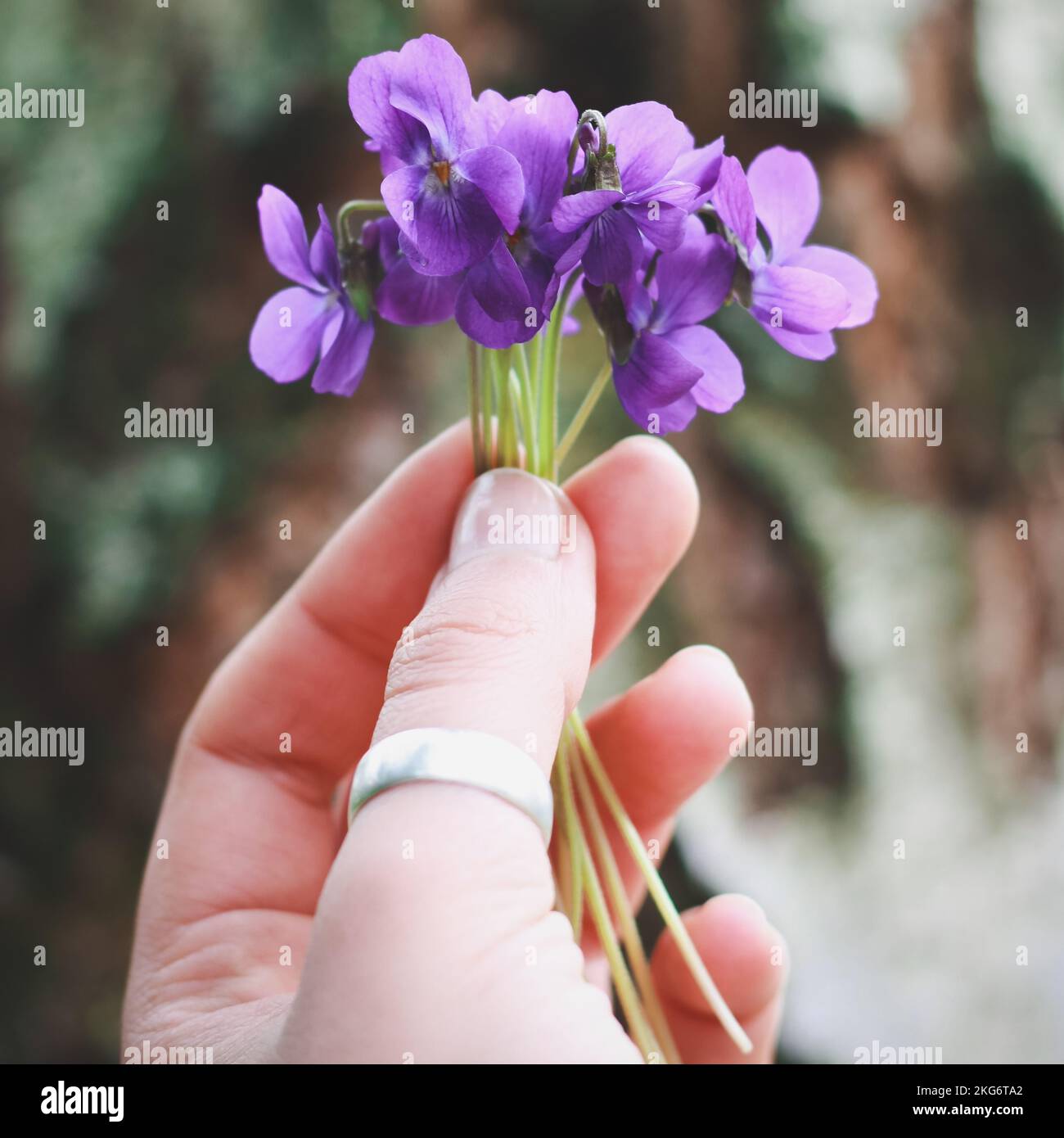 Nahaufnahme winziger Blumenstrauß Konzeptfoto Stockfoto