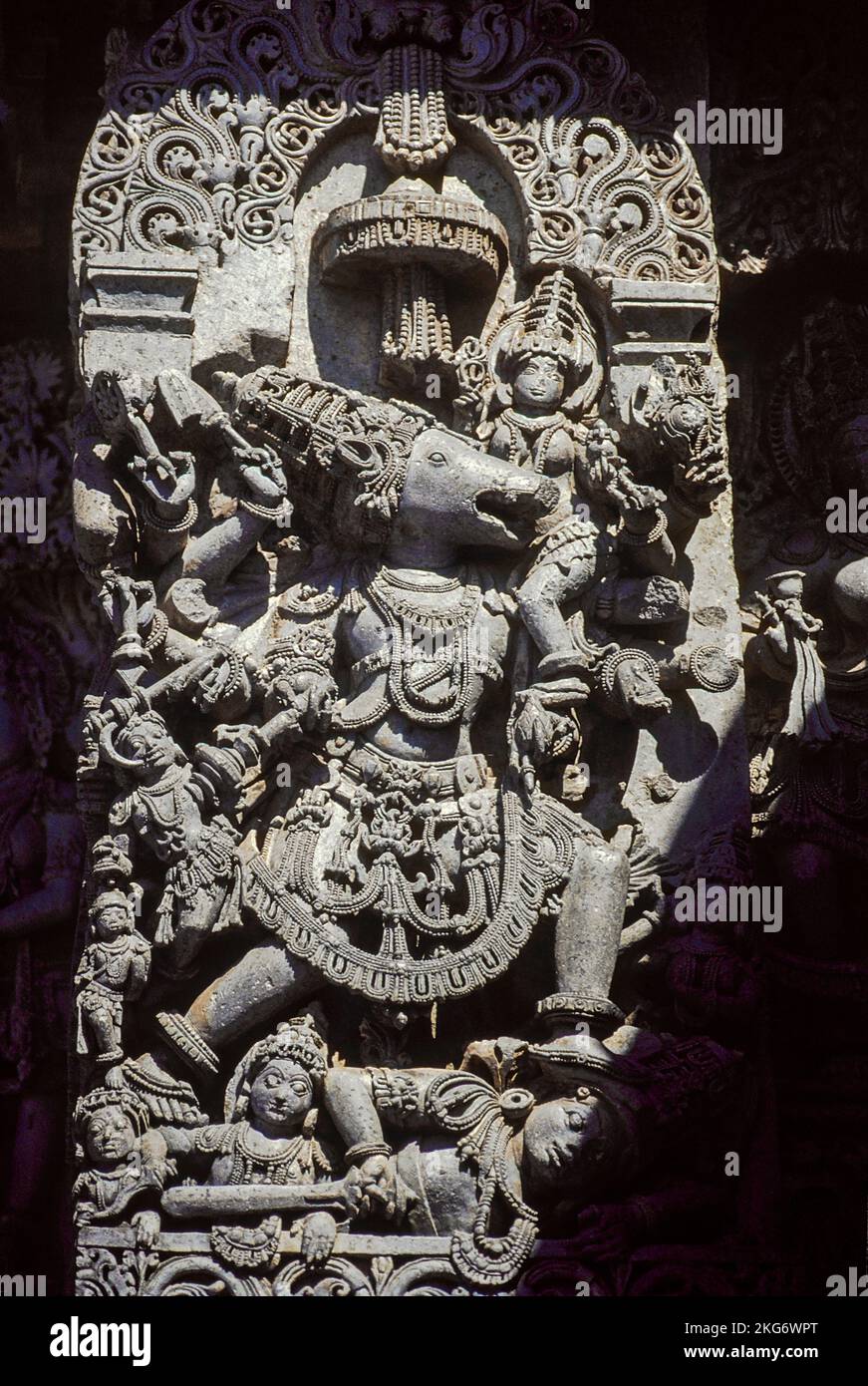 Wandpaneele oder Reliefschnitt der Varaha Avtar am Hoysalesvara-Tempel in Halebidu im Hassan District Karnataka India. Stockfoto