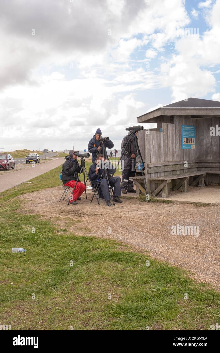 Vogelbeobachter auf der Suche nach Seevögeln in Westkapelle, Zeeland Stockfoto