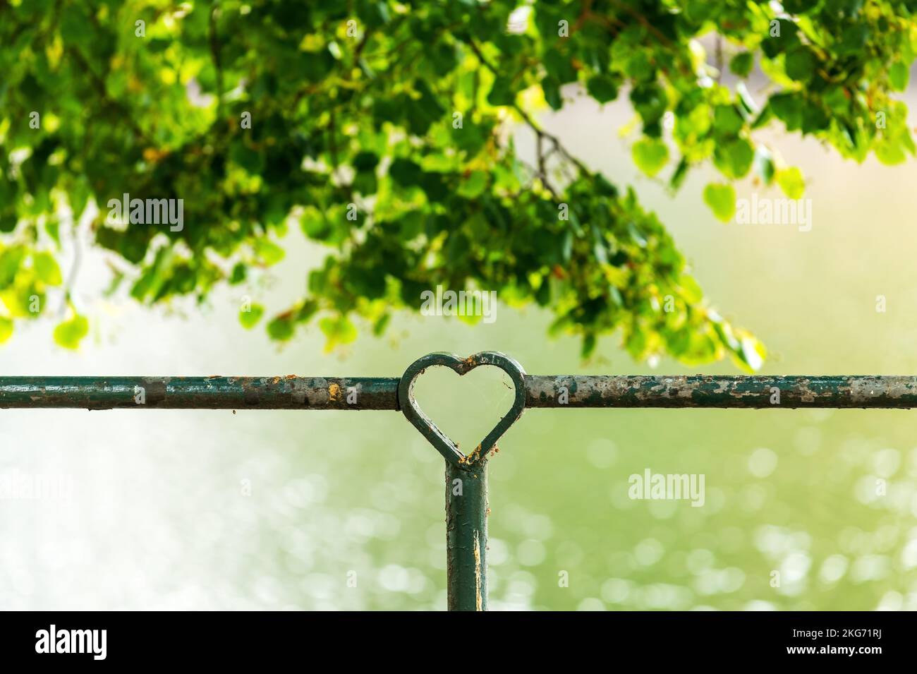 Herzförmiger Eisenzaunschmuck in Halmstad in Schweden, selektiver Fokus Stockfoto
