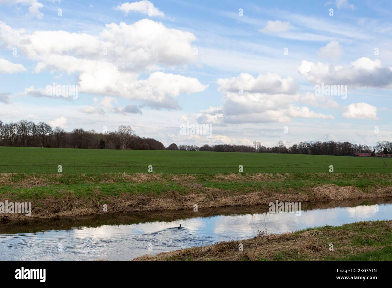 Weiße wunderschöne Wolken am blauen Himmel an einem hellen und beleuchteten Sommertag Stockfoto