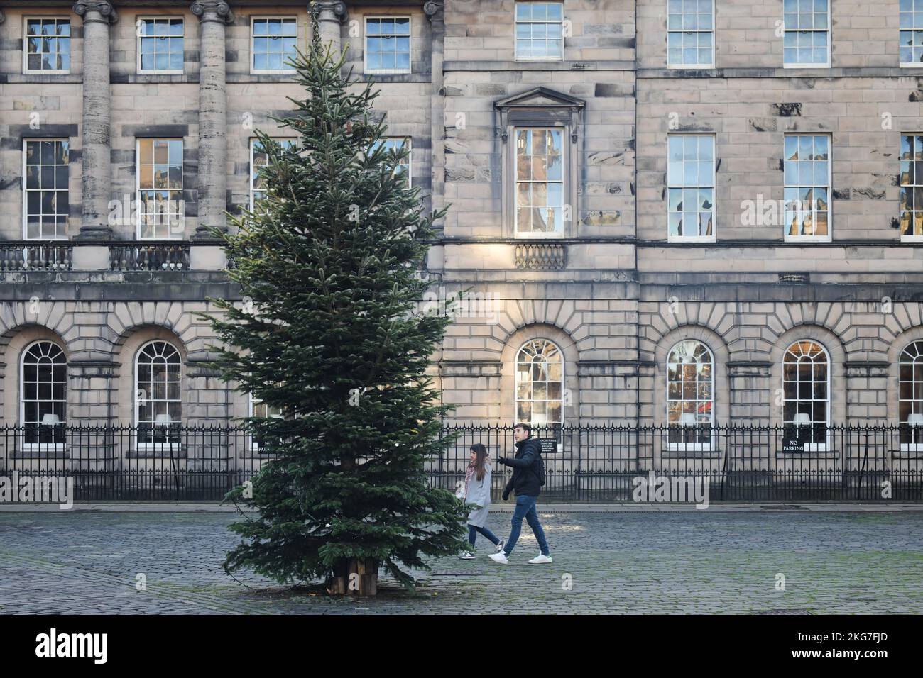 Edinburgh Scotland, Vereinigtes Königreich, 21. November 2022. Weihnachtsbaum von Edinburgh am Parliament Square. Live-Nachrichten von sst/alamy Stockfoto