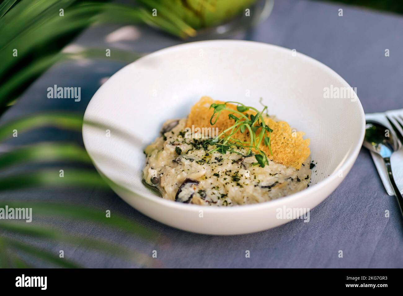 Platte mit Risotto am Tisch, im Freien Stockfoto