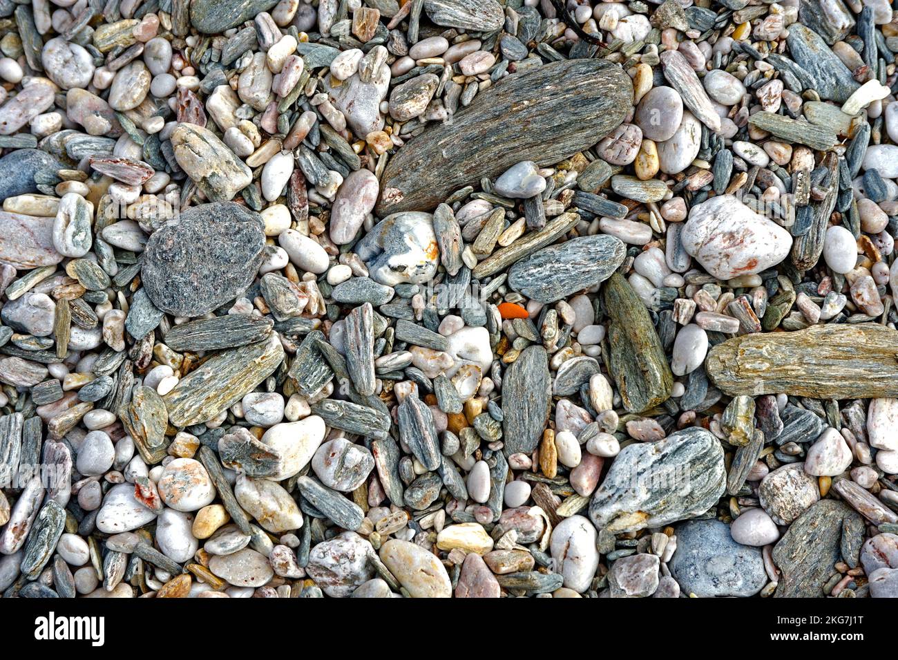 Kieselsteine am Strand Stockfoto