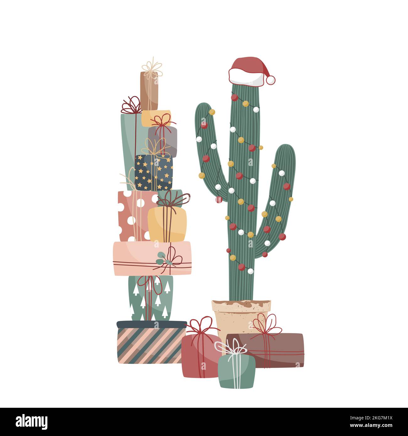 tall cactus indoor plant Buy Golden Saguaro Phoenix, AZ | N. polylopha main image 0