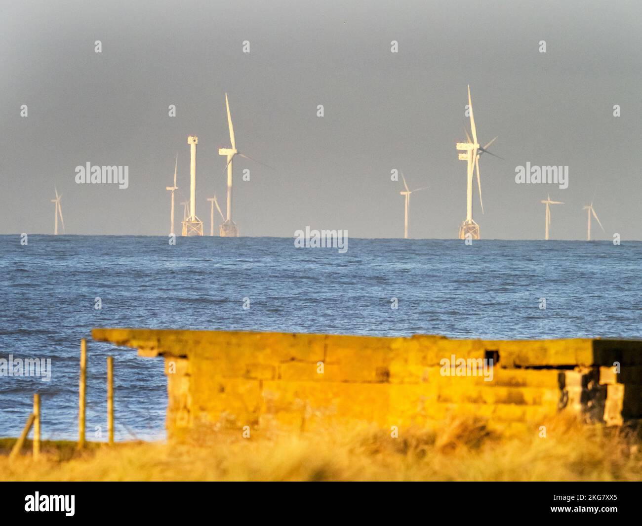 Turbinen auf dem Offshore-Windpark Walney von Walney Island, Barrow in Furness, Cumbria, Großbritannien. Stockfoto