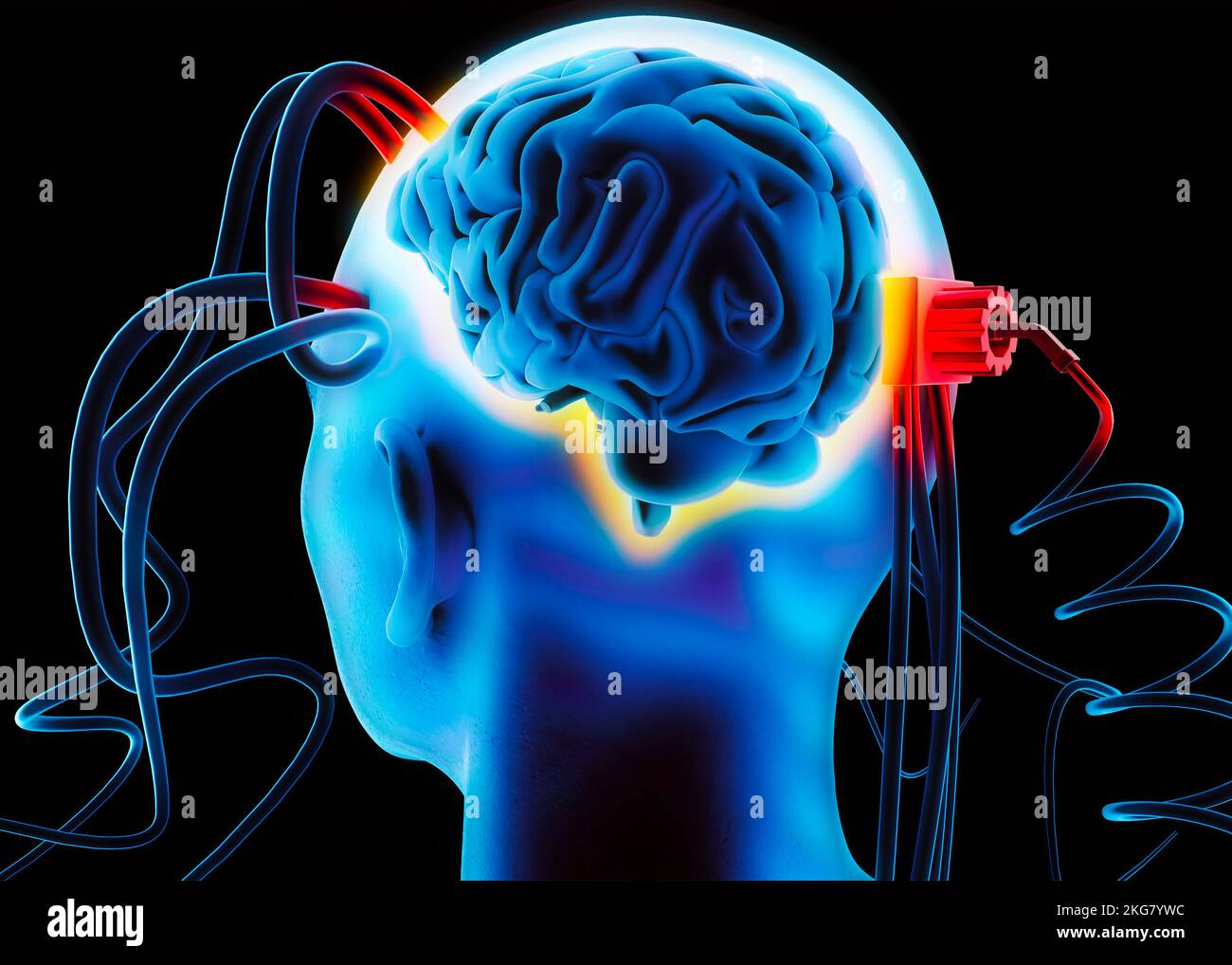 Künstliche Intelligenz, Reize und Anweisungen, die dem Gehirn durch eine externe Intelligenz vermittelt werden. Menschlicher Kopf von hinten gesehen, Neuronen Stockfoto