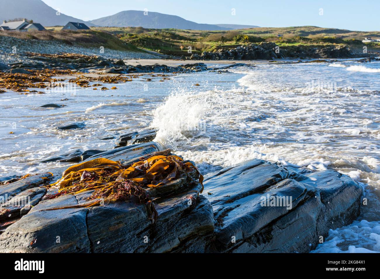 Küstengrundstücke über einem Strand in der Nähe von Ardara, County Donegal, Irland. Auf Irlands Wild Atlantic Way an der Nordwestküste. Stockfoto