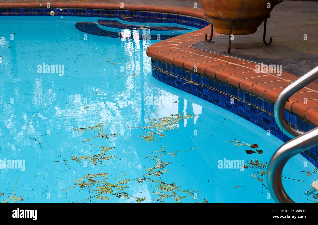 Ein blauer Swimmingpool mit türkisfarbenen Fliesen und Herbstblättern auf dem Poolboden Stockfoto