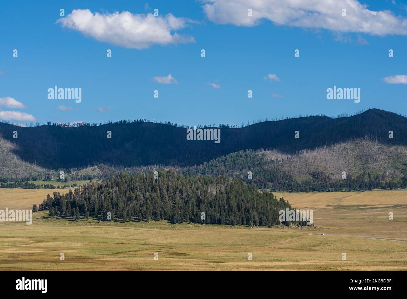 USA, New Mexico, Valles Caldera Natural Preserve, malerische Landschaft im Valles Caldera National Preserve Stockfoto