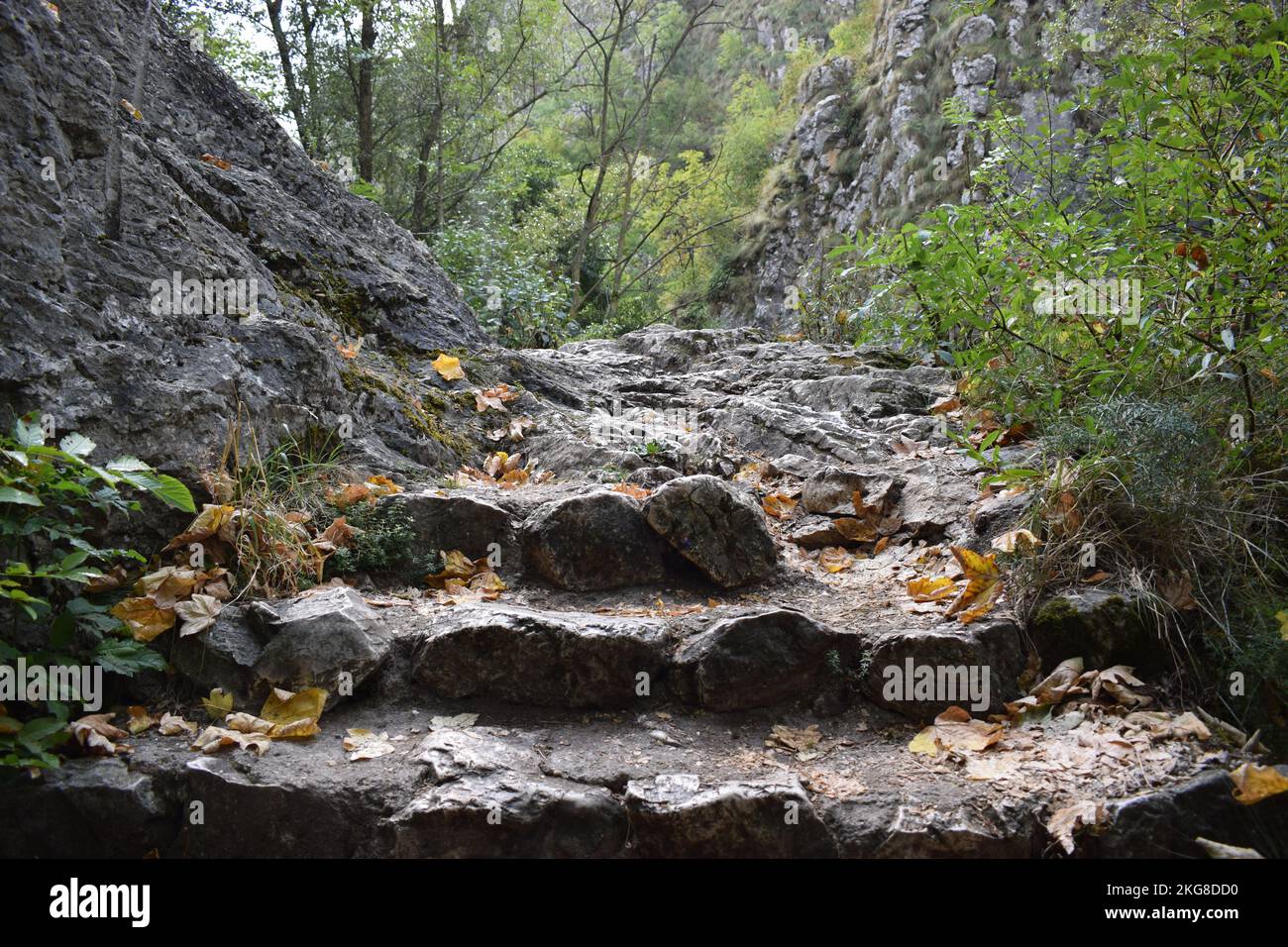 Berglandschaft in Cheile Turzii, Cluj County, Rumänien Stockfoto