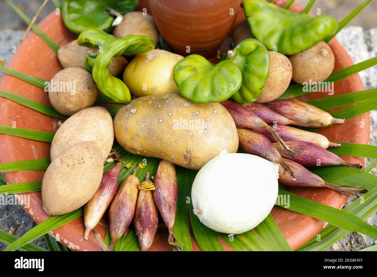 Ausstellung von regionalem mexikanischem Gemüse mit Blattdekoration Stockfoto
