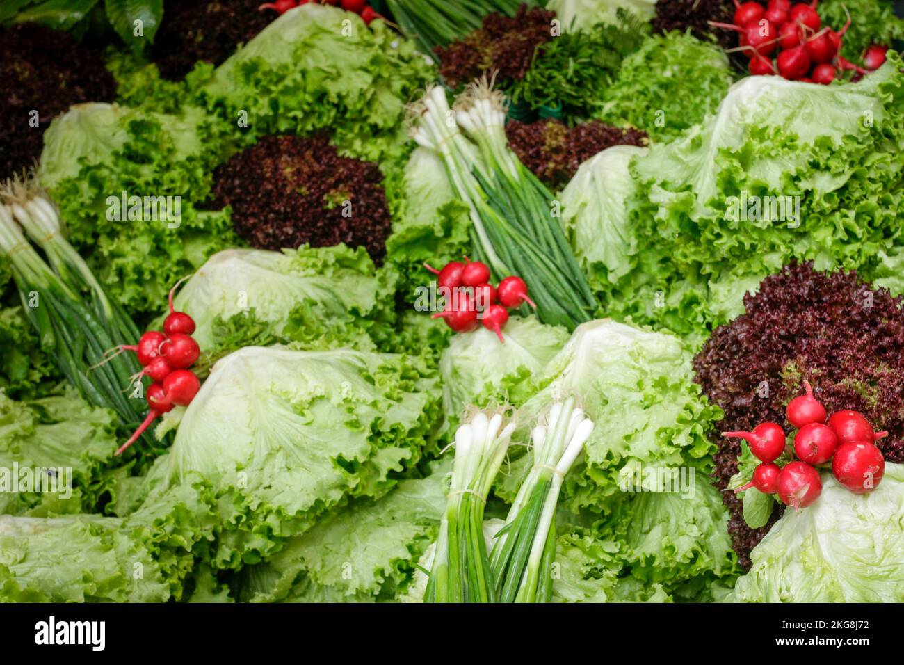 Istanbul, Türkei. Frisches Gemüse auf dem Bauernmarkt Stockfoto