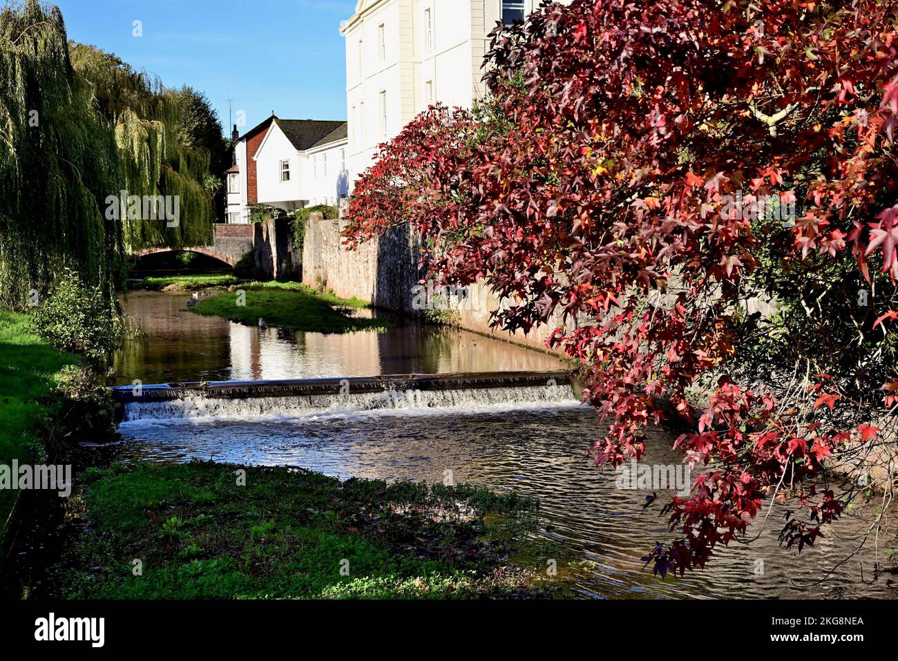 Ein Wehr auf Dawlish Wasser an einem sonnigen Herbsttag. Stockfoto