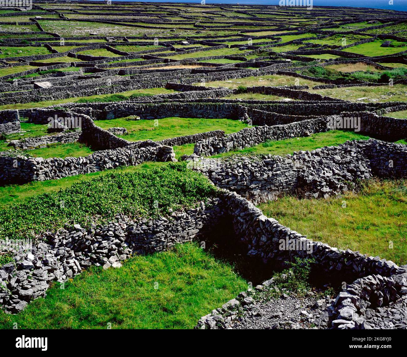 Trockenmauern auf Inisheer , Aran Islands, County, Galway, Irland, West Stockfoto
