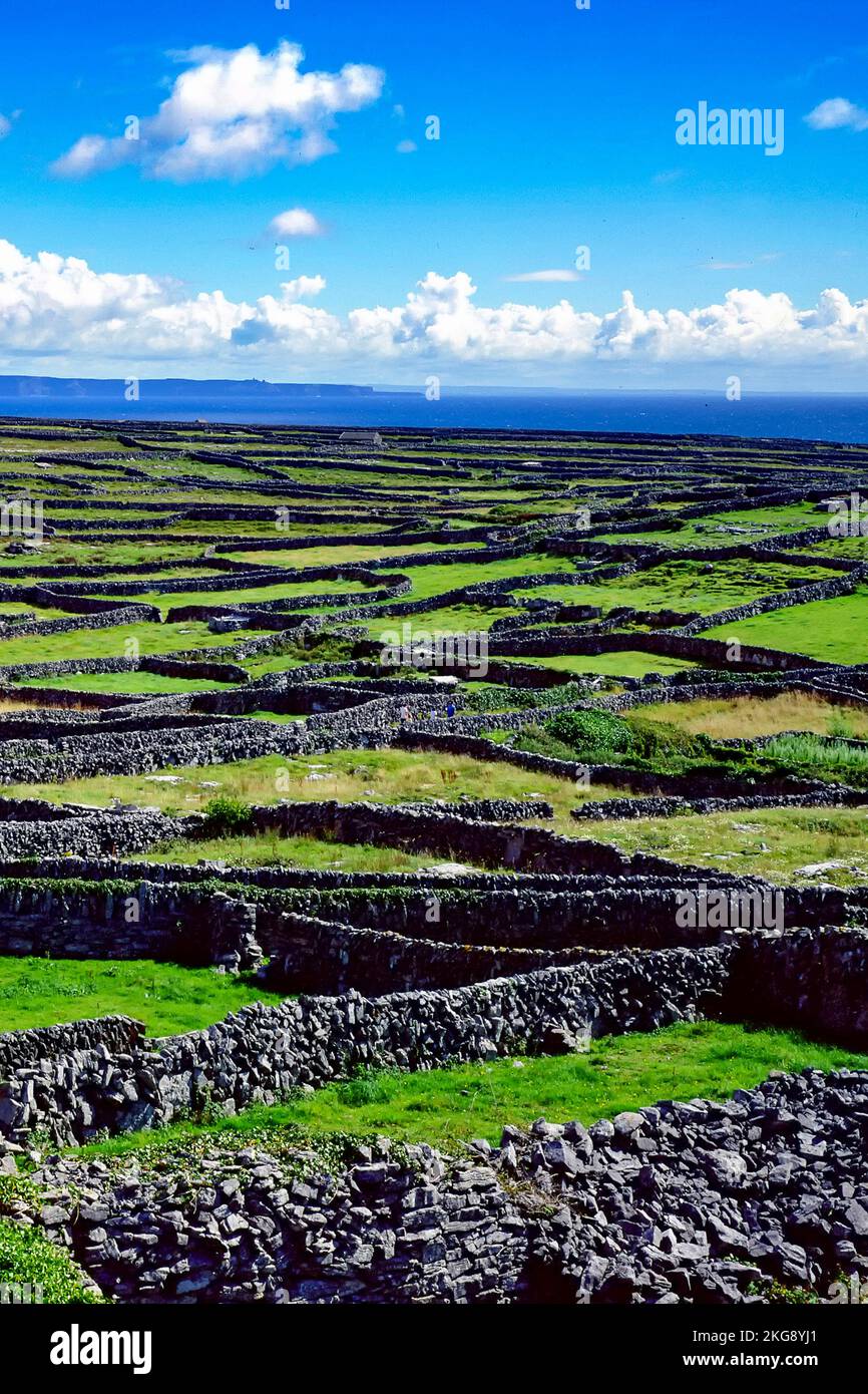Trockenmauern auf Inisheer , Aran Islands, County, Galway, Irland, West Stockfoto