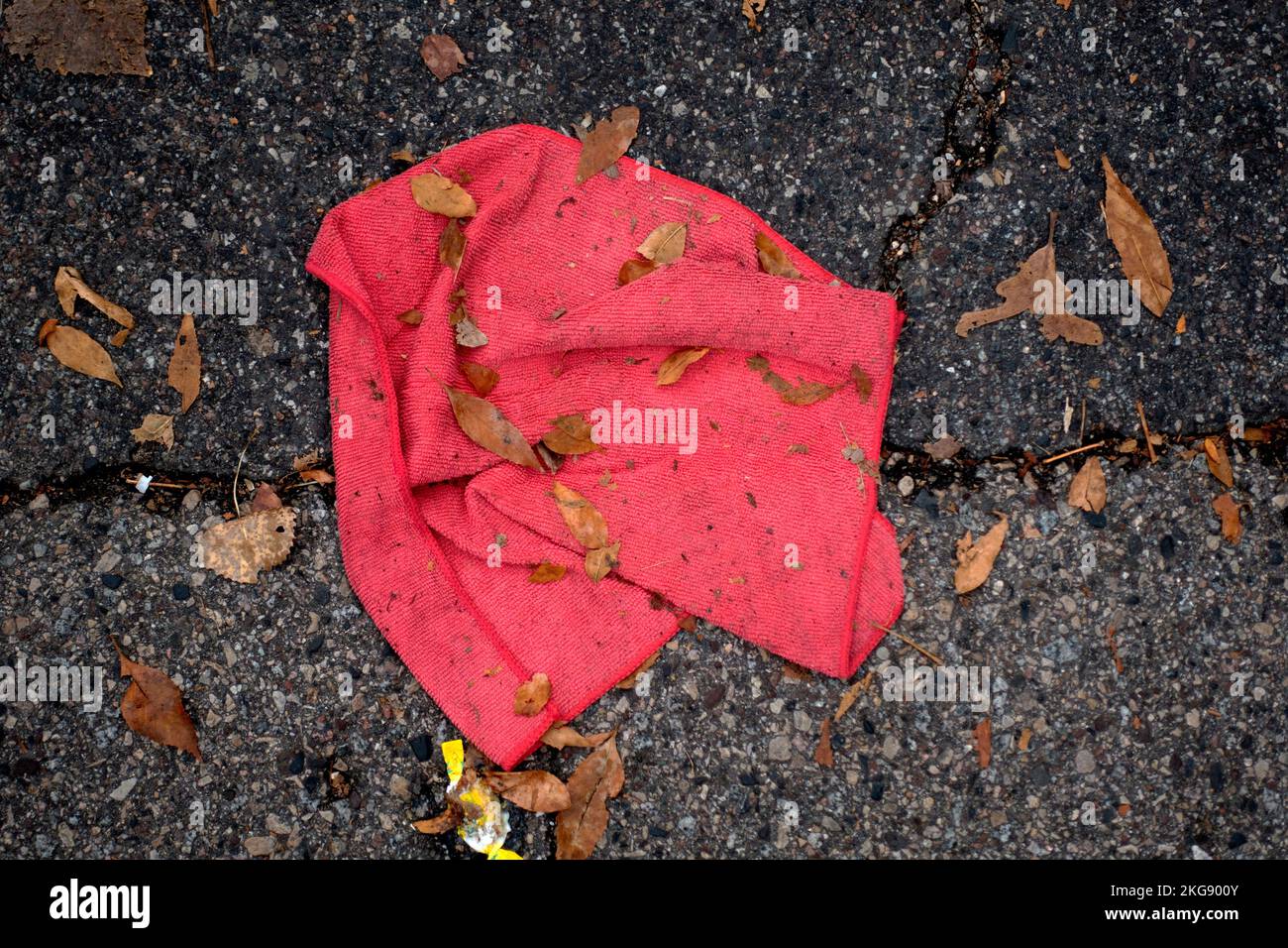 Rotes Reinigungstuch auf der Straße zwischen einigen Herbstblättern gefunden. St. Paul Minnesota, USA Stockfoto