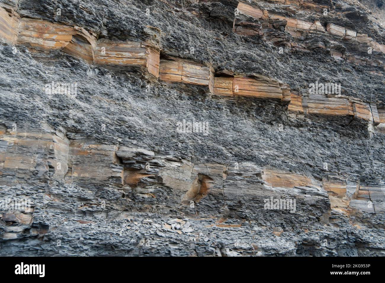 Nahaufnahme der Klippe in Kimmeridge Bay, Dorset, Großbritannien, mit den Schichten von Ölschiefer, Schlammstein und Kalkstein. Stockfoto