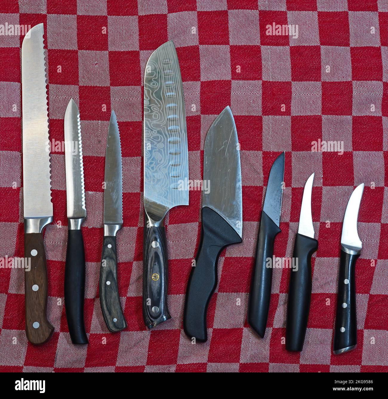 Acht Küchenmesser auf einem rot-weißen karierten Handtuch. Das erste ist ein Brotmesser. Als nächstes ein Tomatenmesser. Das vierte ist ein japanisches Gyuto-Messer. Stockfoto
