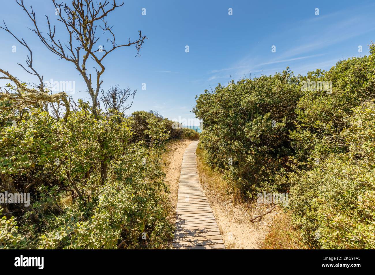 Blick auf den Strand Pointe du Payre, Jard sur Mer, Frankreich an einem Sommertag, Vendée, Frankreich Stockfoto