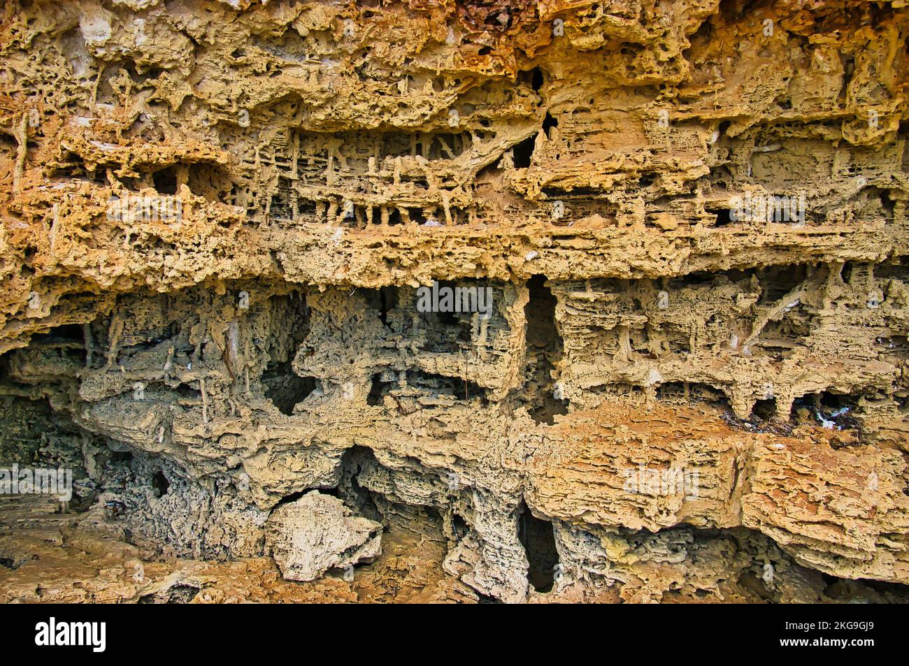 Erosionsmuster in Sandstein, wie eine Fantasiestadt in einem Science-Fiction-Film. Vermeiden Sie Bay, Eyre Peninsula, Südaustralien, Coffin Bay National Park Stockfoto