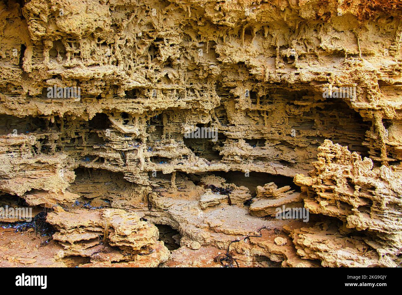 Erosionsmuster in Sandstein, wie eine Fantasiestadt in einem Science-Fiction-Film. Vermeiden Sie Bay, Eyre Peninsula, Südaustralien, Coffin Bay National Park Stockfoto