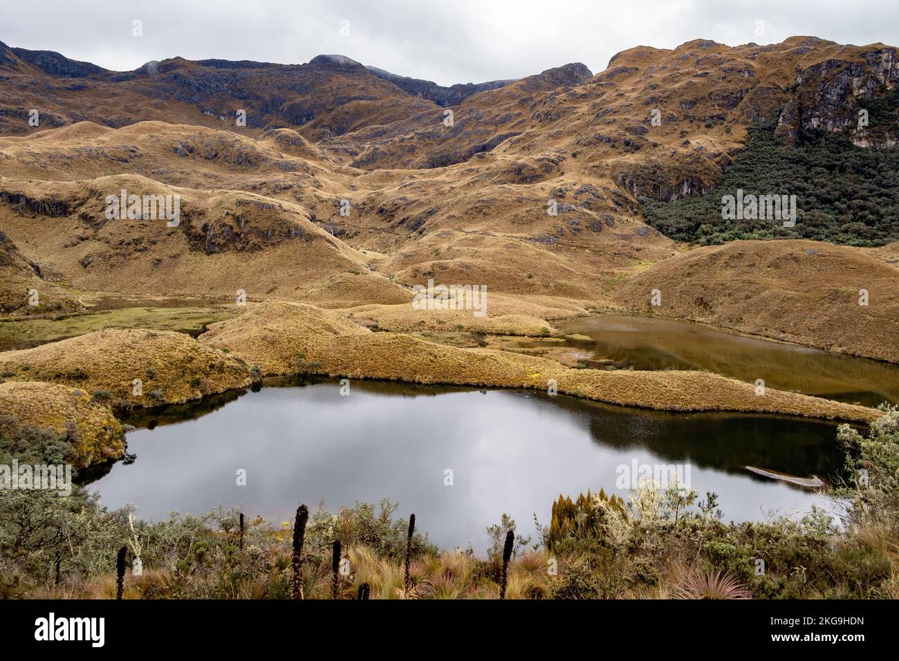 Horizontales Foto einer Landschaft mit Gletschersee im Cajas-Nationalpark im Hochland der Anden von Ecuador, den tropischen Anden. Stockfoto