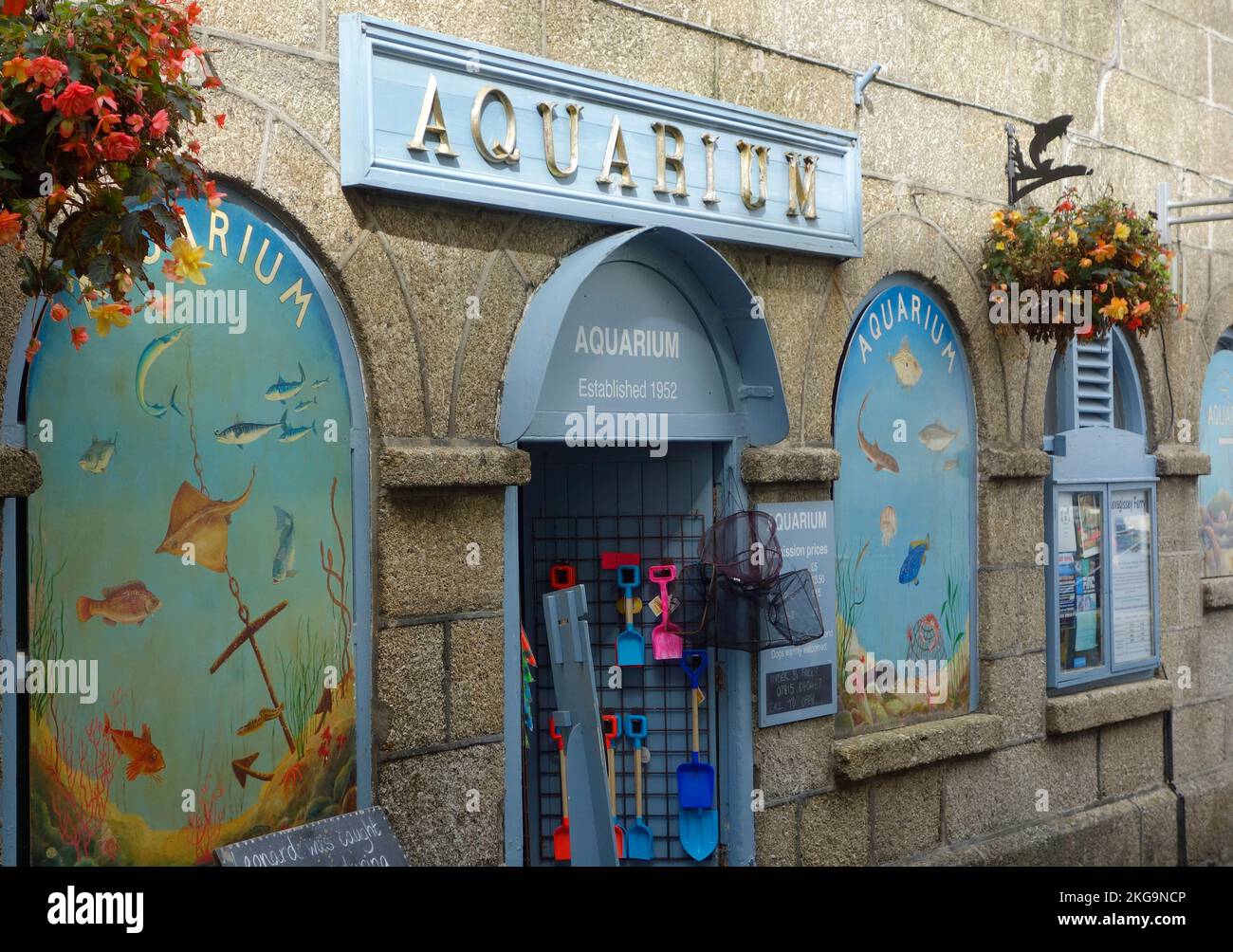 Fowey Public Aquarium, Fowey, Cornwall, England, Großbritannien Stockfoto