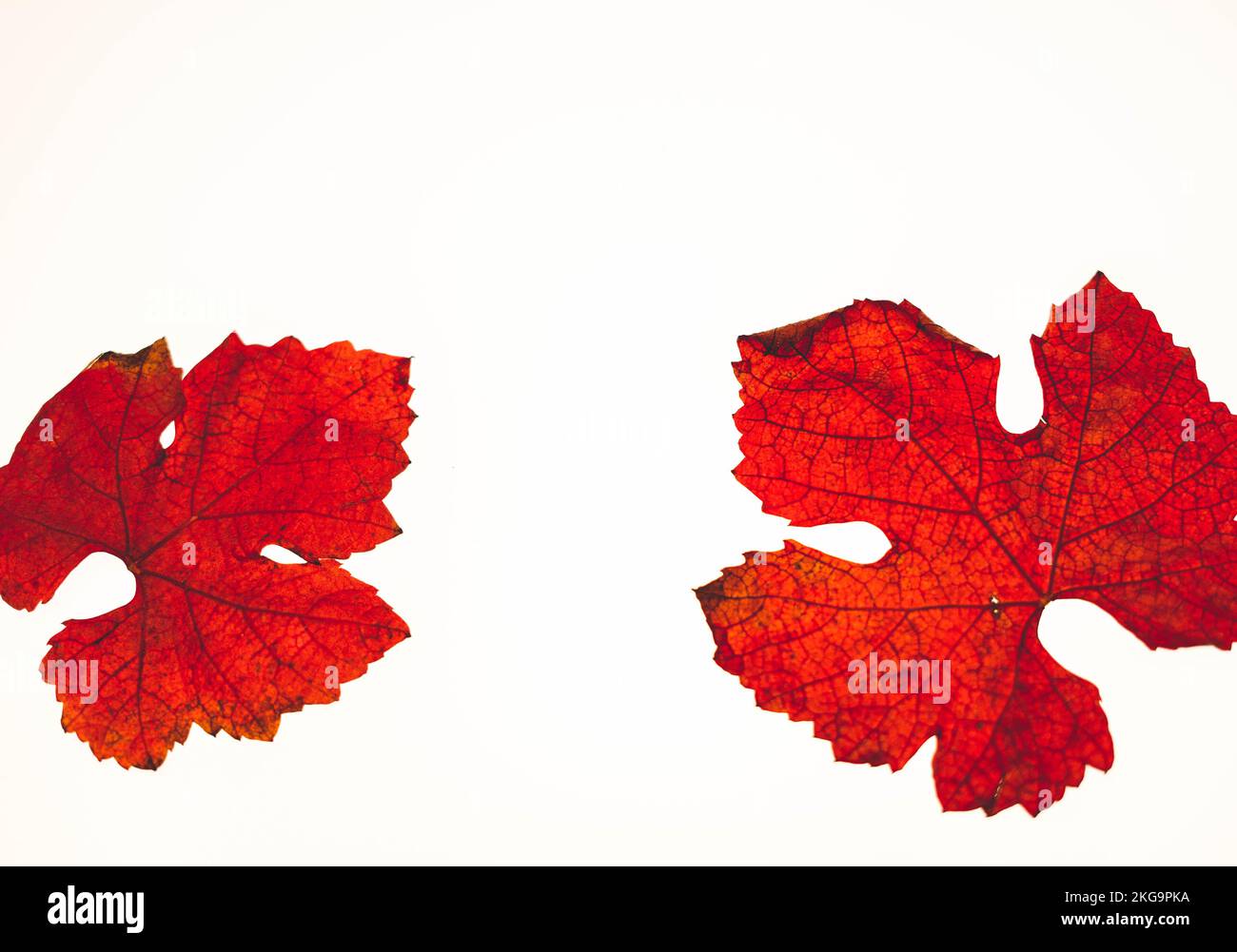 Changing the sheets Fotos und Bildmaterial in hoher Auflösung Alamy