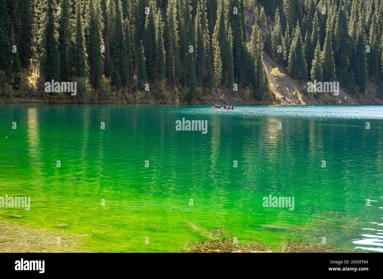 Grünes See Wasser gegenüber Fichtenbäumen, die den Hügel bedecken Stockfoto