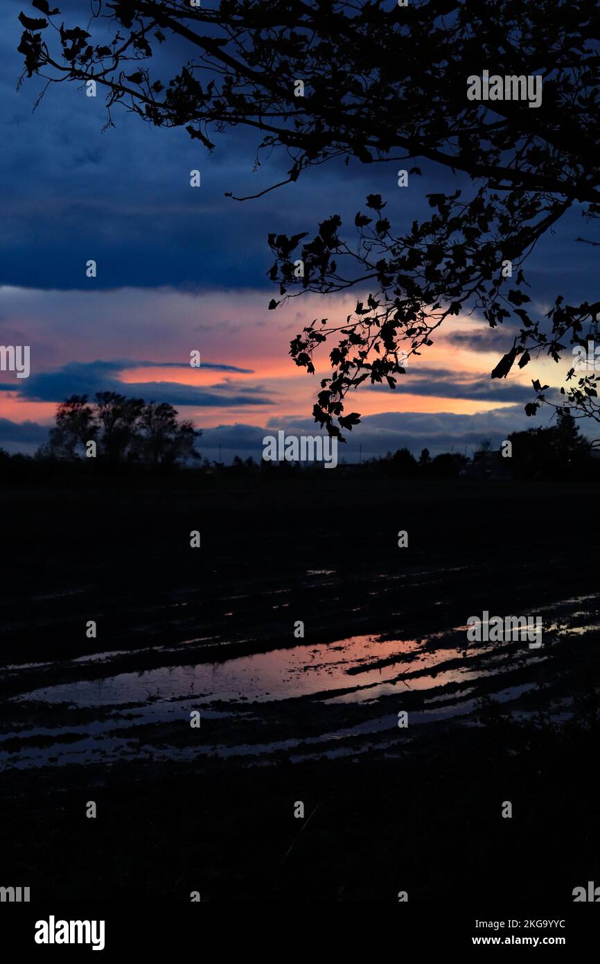 In der Abenddämmerung geht nach einem nassen Tag in West Lancashire die Sonne über einem Feld unter, wobei sich der violette Himmel in den Pfützen des stehenden Wassers spiegelt. Stockfoto