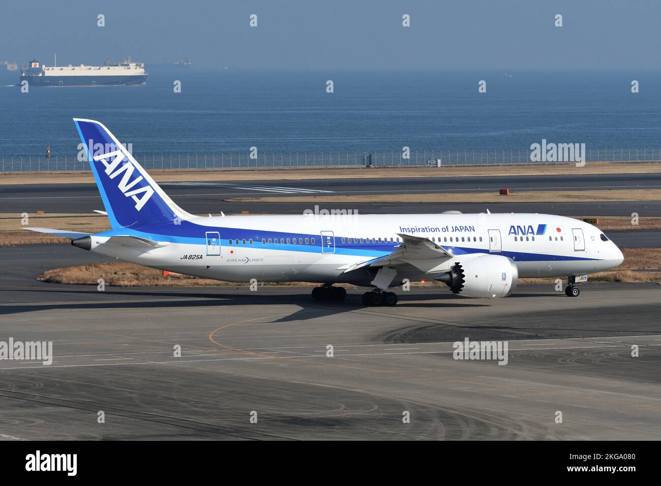 Tokio, Japan - 12. Januar 2020: Alle Nippon Airways (ANA) Boeing B787-8 Dreamliner (JA825A) Passagierflugzeuge. Stockfoto