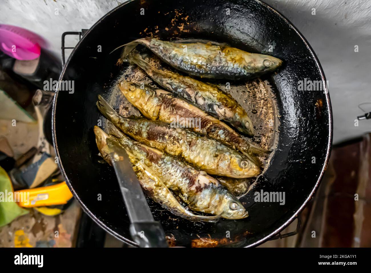 Sardinen braten auf einem Topf an einem einzigen Feuer, einfacher Herd zu Hause. Stockfoto