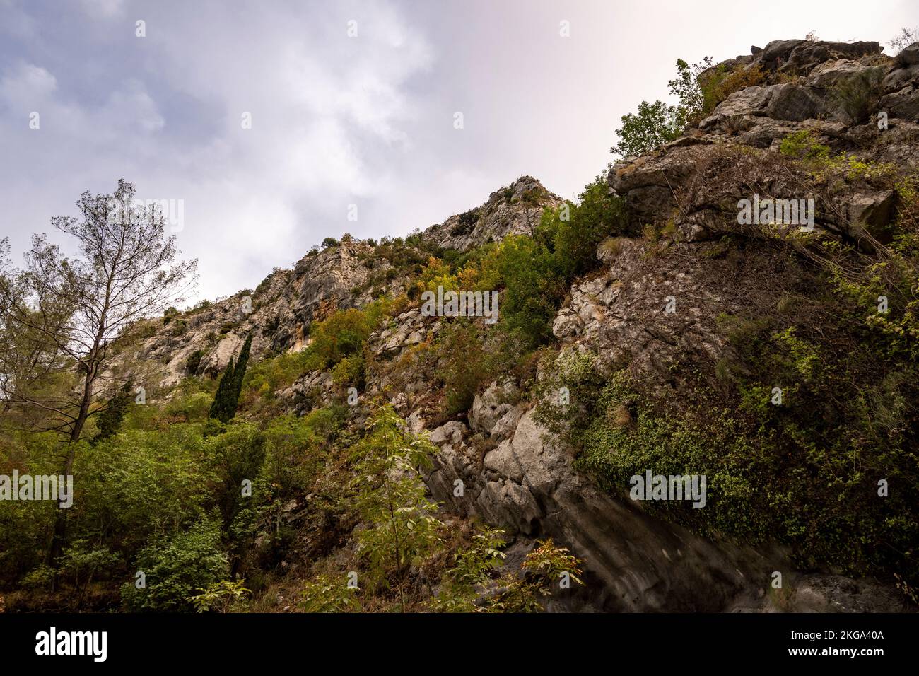 Schöne felsige Klippen und Berggipfel, bedeckt mit dichten Wald in der Nähe der Stadt Omis, Kroatien in der Schlucht des Flusses Cetina Stockfoto