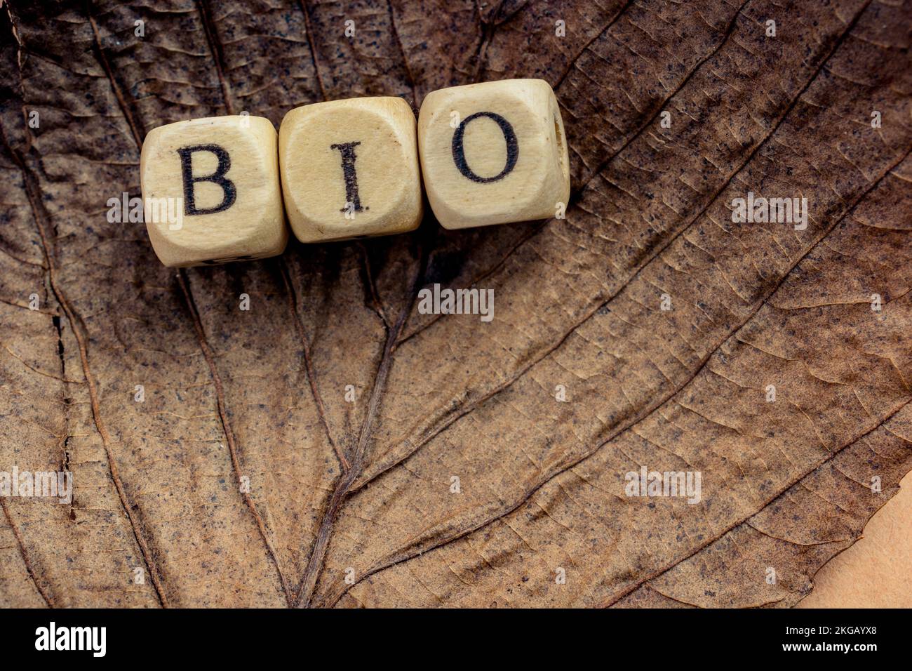 Gesunde und Lifestyle vegan Symbol bio Wording auf Blatt Textur Stockfoto