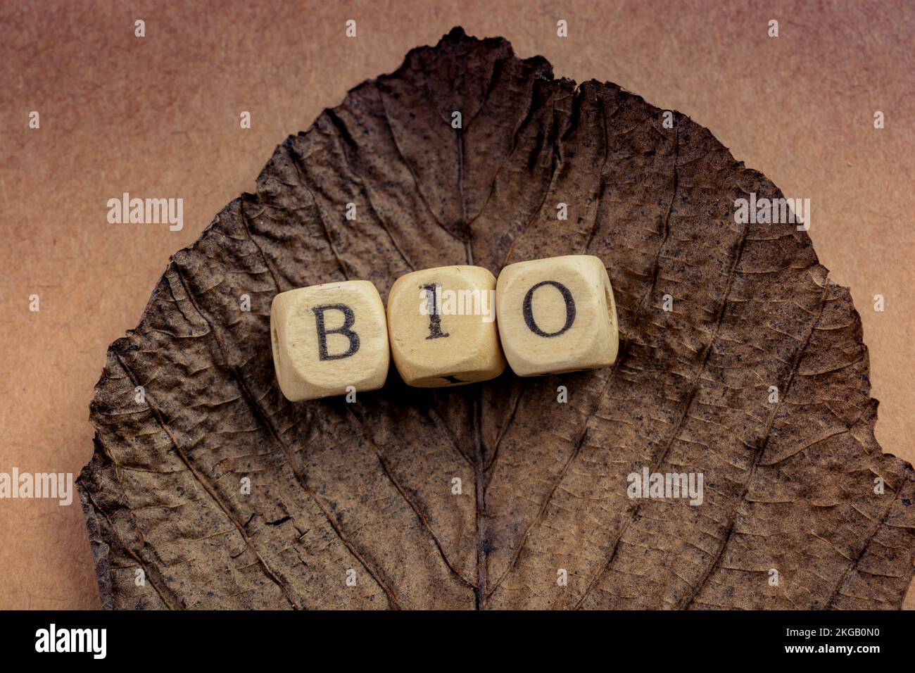 Gesunde und Lifestyle vegan Symbol bio Wording auf Blatt Textur Stockfoto