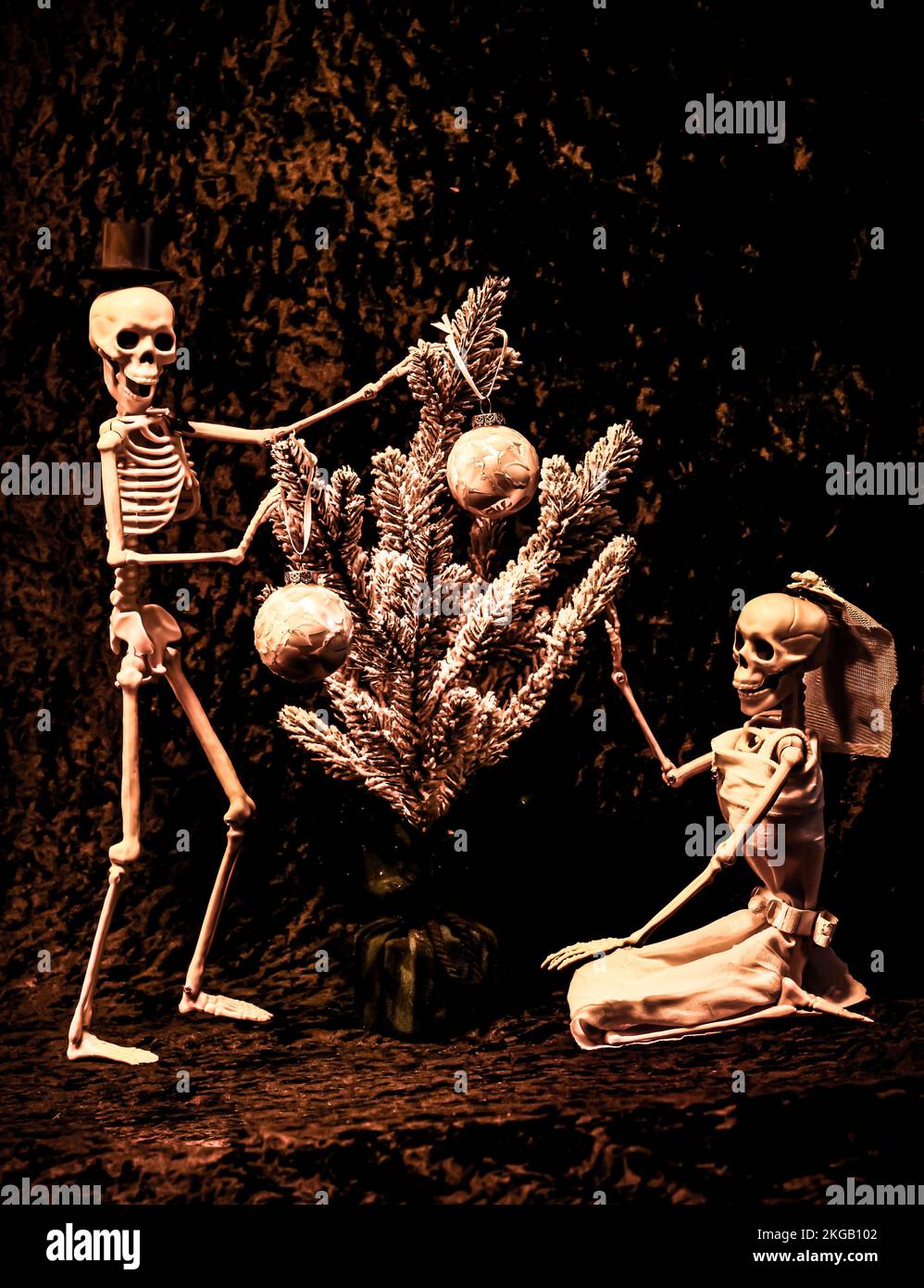 Skeleton Braut und Groom dekorieren einen Weihnachtsbaum für die Feiertage Stockfoto