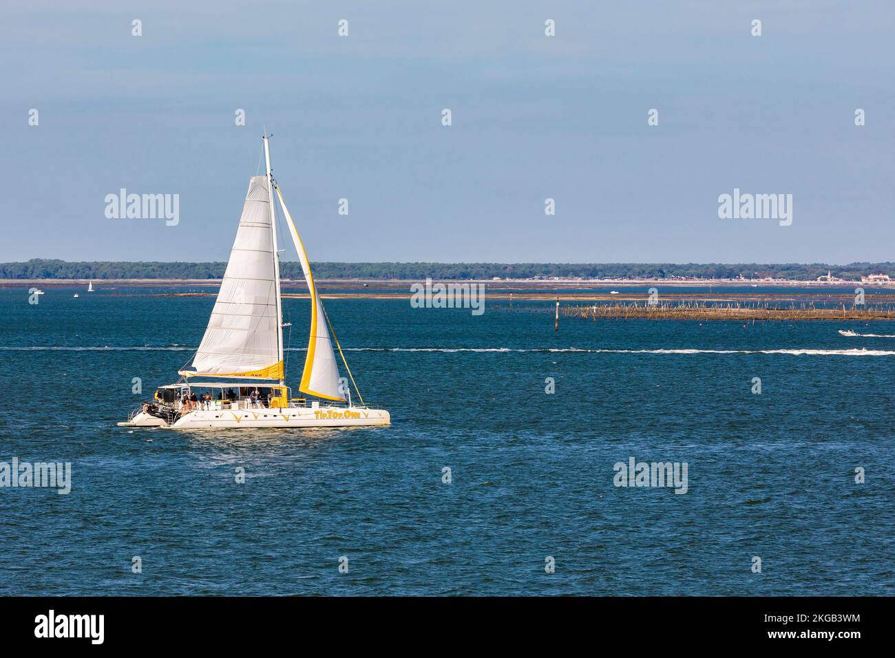 Segelboot in Arcachon Bay, Katamaran, Arcachon, Aquitanien, New Aquitaine, Frankreich, Europa Stockfoto