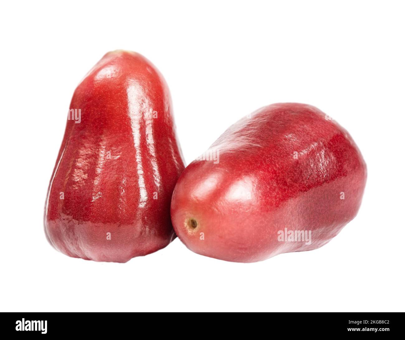 Rosenapfel zwei isoliert auf weißem Hintergrund Stockfoto