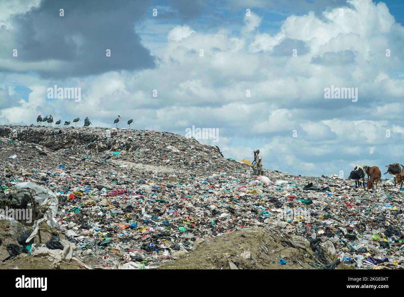 Nairobi, Kenia 20221122. Kronprinzessin Victoria von Schweden und Kronprinz Haakon von Norwegen besuchen das Kitengela Waste Management Entrepreneurship Hub außerhalb von Nairobi, Kenia am Dienstag im Zusammenhang mit dem offiziellen Besuch. Das Paar hat neue Lösungen gefunden, wie man mit Müll umgeht. Foto: Lise Aaserud/NTB Stockfoto